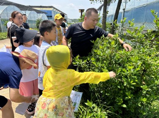 走进大自然 亲子寻中药——上高县林业局开展中药材亲子研学活动