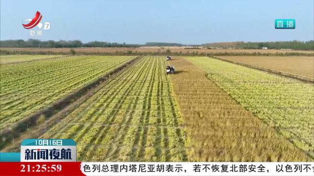 【世界粮食日】守护粮食安全 珍惜每一粒粮食