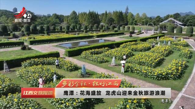 【多彩金秋·独好江西】鹰潭：花海盛放 龙虎山迎来金秋旅游浪潮