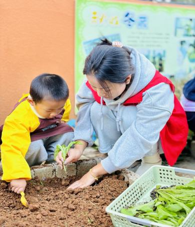 初秋之约 “植”得期待——崇仁县第一幼儿园秋季种植活动