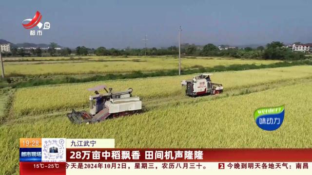 九江武宁：28万亩中稻飘香 田间机声隆隆