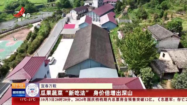 都市现场·午间版20241004