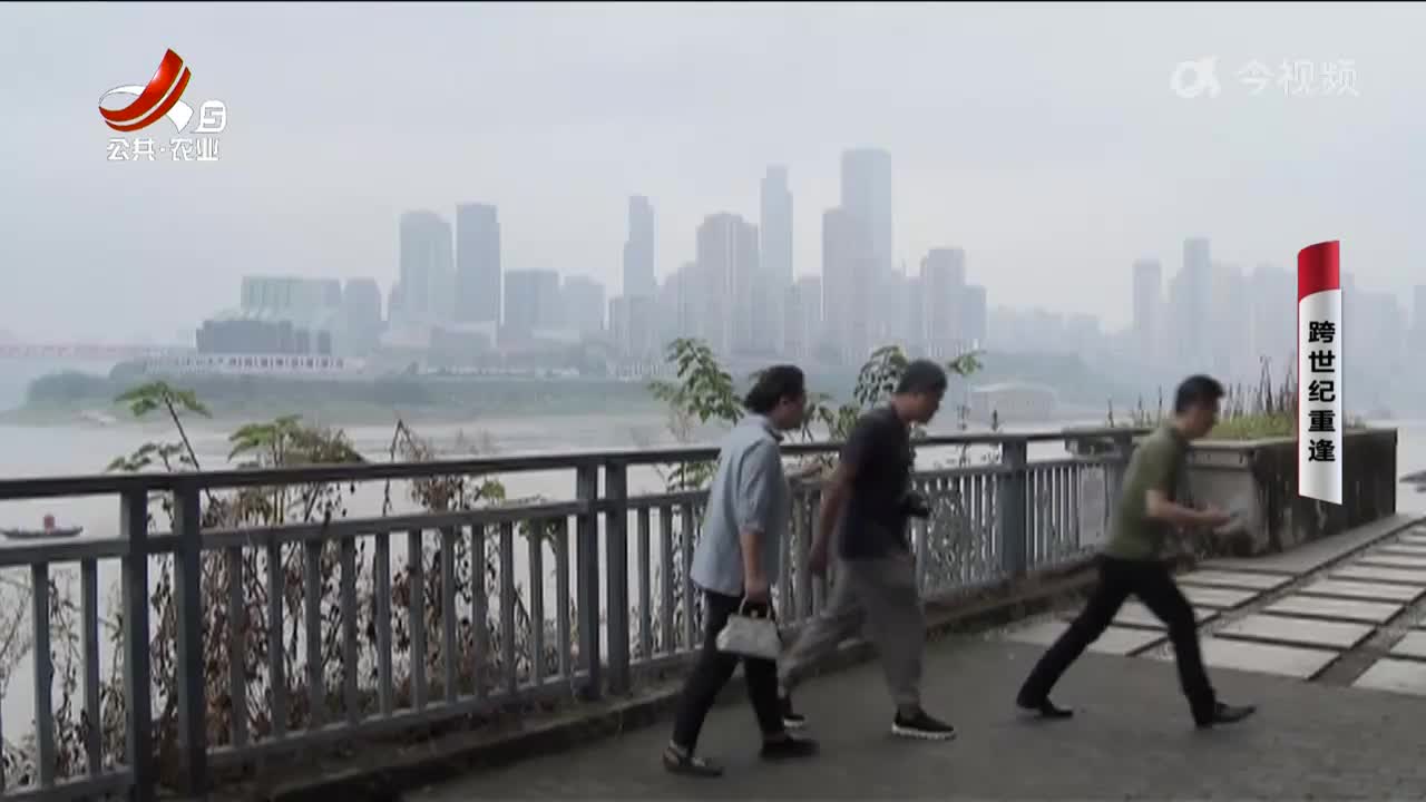 乡村栏目剧场20241004 跨世纪重逢