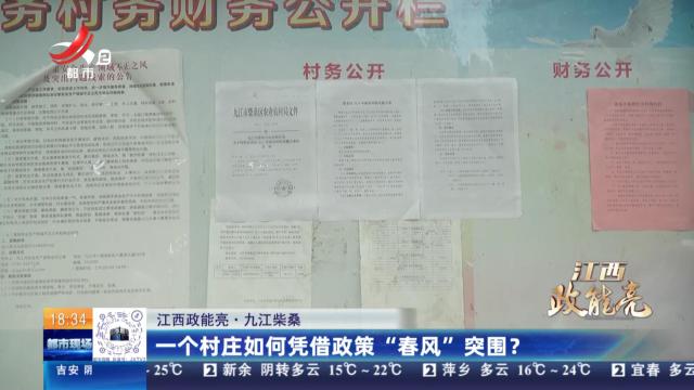 【江西政能亮】九江柴桑：一个村庄如何凭借政策“春风”突围？