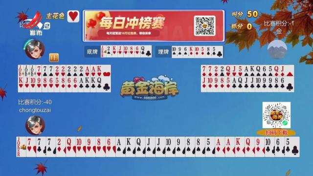 谁是赢家20241031