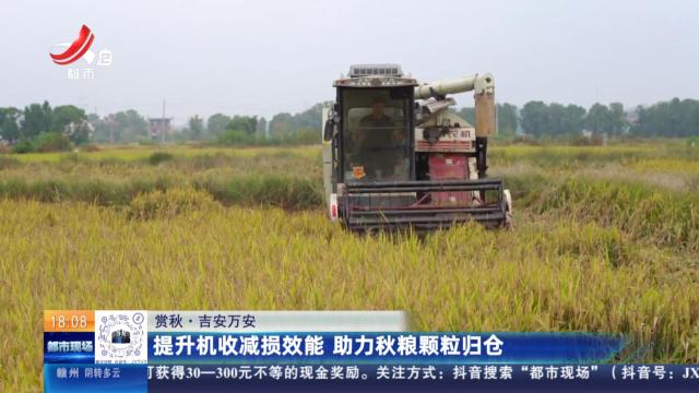 【赏秋】吉安万安：提升机收减损效能 助力秋粮颗粒归仓