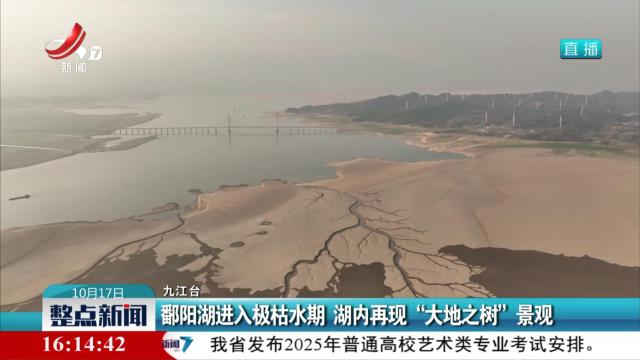 鄱阳湖进入极枯水期 湖内再现“大地之树”景观