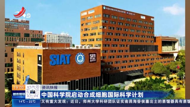 中国科学院启动合成细胞国际科学计划