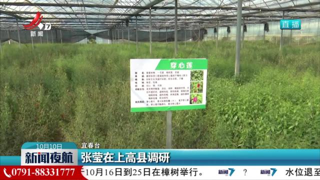 张莹在上高县调研