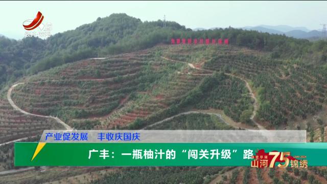 三农头条20241002