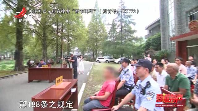 落槌有声20241001 巡回审判护生态