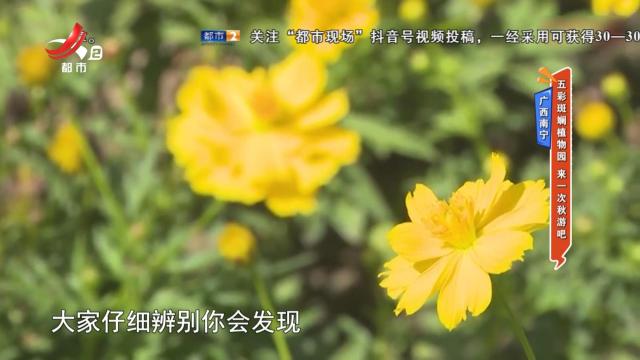 广西南宁：五彩斑斓植物园 来一次秋游吧