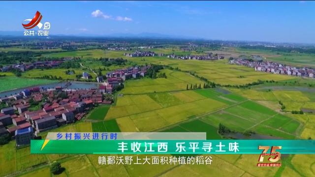 稻花香里20241002 乡村振兴进行时——丰收江西 乐平寻土味