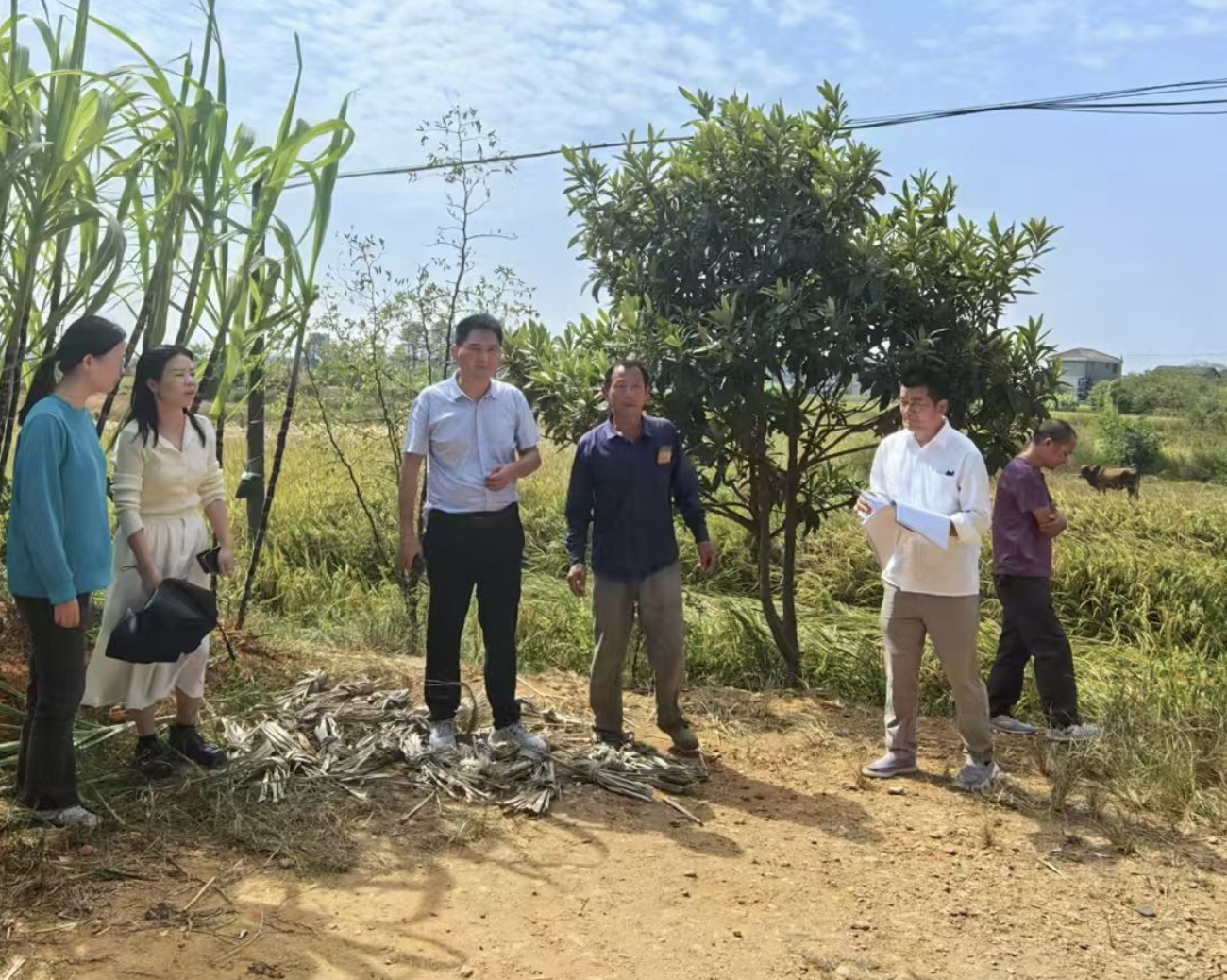 崇仁县孙坊镇初级中学开展“控辍保学‘大家访’ 送教上门传温暖”活动