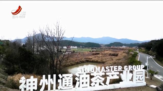 三农头条20241004