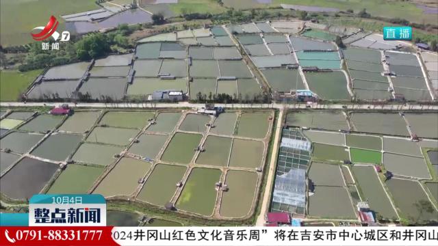 【赣鄱大地喜丰收】南丰县：“鳖”具一格的致富路
