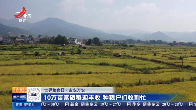 【世界粮食日】吉安万安：10万亩富硒稻迎丰收 种粮户们收割忙