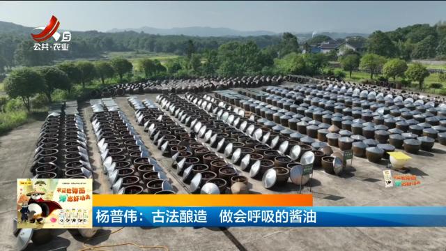 杨普伟：古法酿造 做会呼吸的酱油