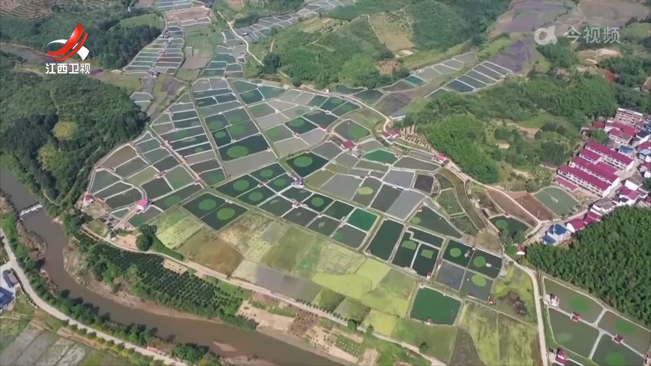 打造农业科技综合体 助力产业高质量发展