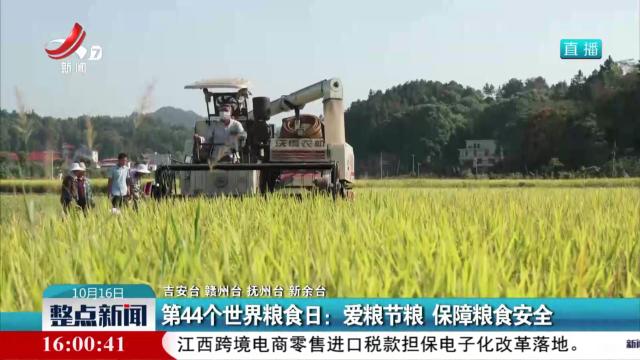 第44个世界粮食日：爱粮节粮 保障粮食安全