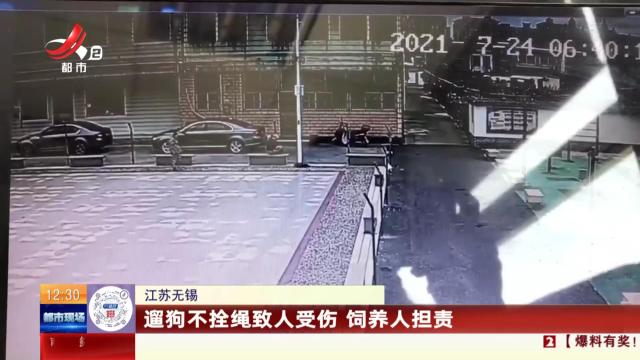 江苏无锡：遛狗不栓绳致人受伤 饲养人担责