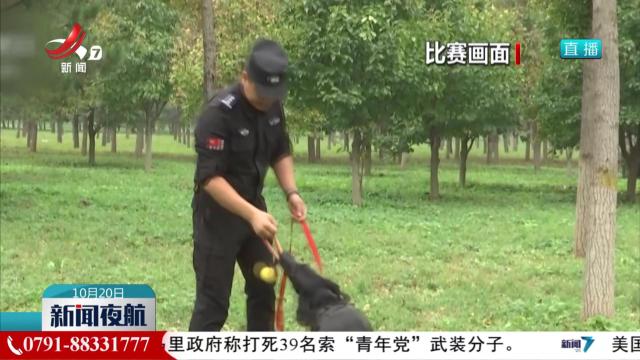 【第六届全国警犬技术比赛】255名训导员和219头警犬参赛 角逐激烈