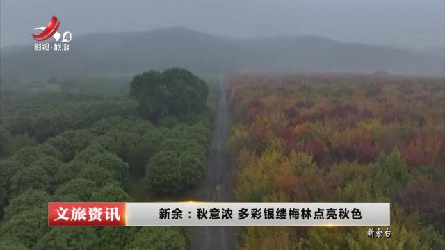 新余：秋意浓 多彩银缕梅林点亮秋色