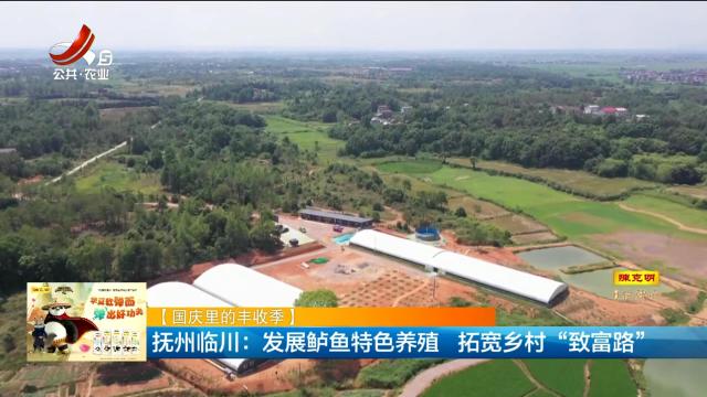 【国庆里的丰收季】抚州临川：发展鲈鱼特色养殖 拓宽乡村“致富路”