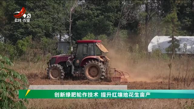 三农头条20241012