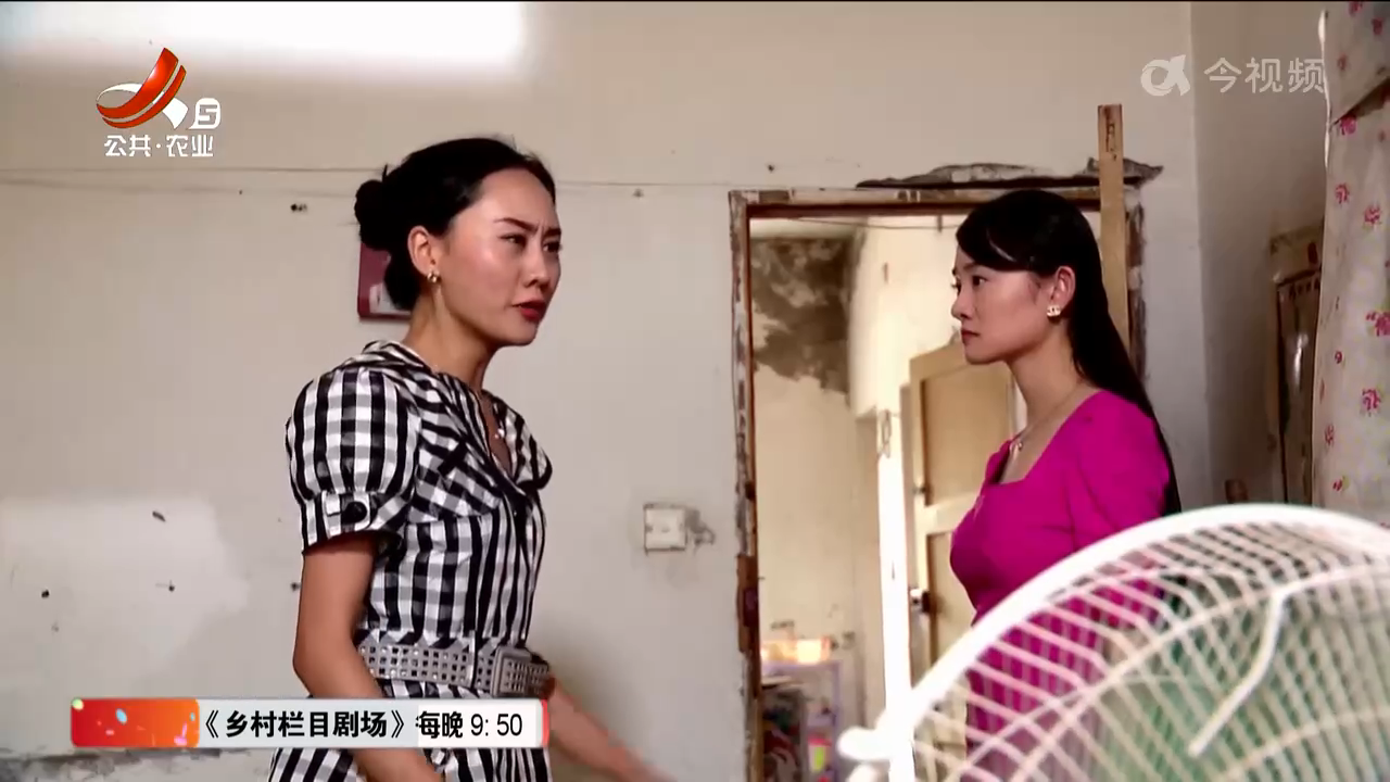 乡村栏目剧场20241010 你的秘密