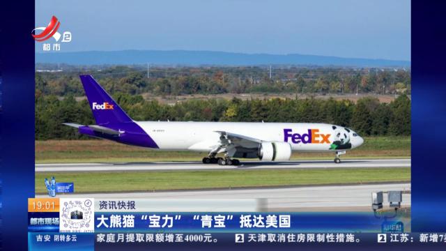 大熊猫“宝力” “青宝”抵达美国