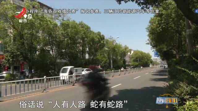 晚间800 20241029 法案直击：“日进斗金”背后的黑幕