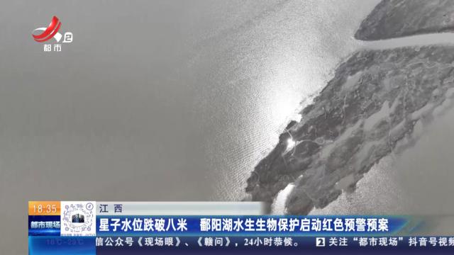 江西：星子水位跌破八米 鄱阳湖水生生物保护启动红色预警预案