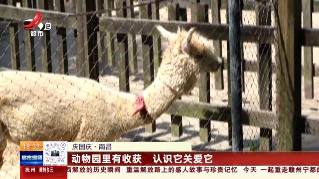 【庆国庆】南昌：动物园里有收获 认识它关爱它