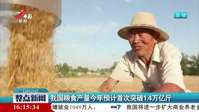 我国粮食产量今年预计首次突破1.4万亿斤