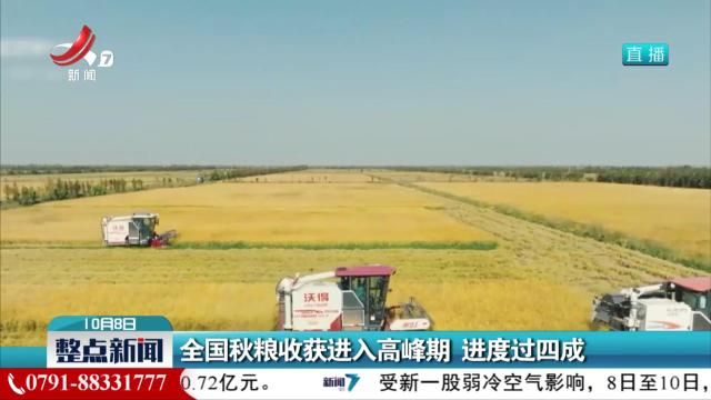 全国秋粮收获进入高峰期 进度过四成