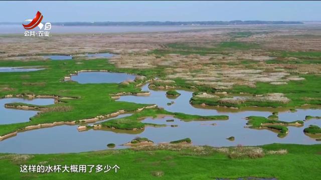 美丽江西在行动20241006特别策划：旧事重提——今生甘心做“鸟痴”