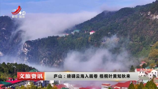 庐山：磅礴云海入画卷 梧桐叶黄知秋来