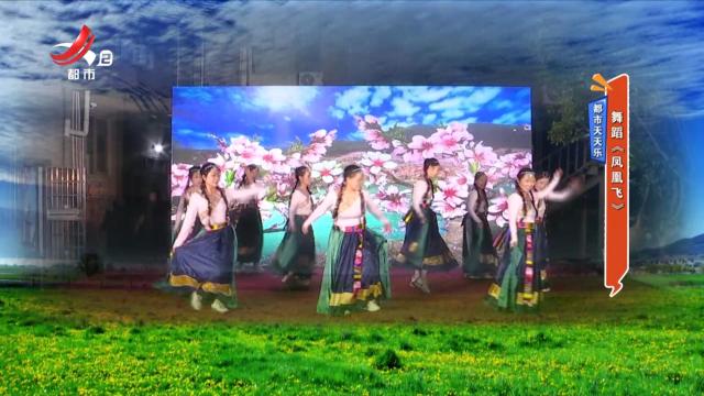 都市天天乐——舞蹈《凤凰飞》
