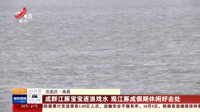 【庆国庆】南昌：成群江豚宝宝逐浪戏水 观江豚成假期休闲好去处