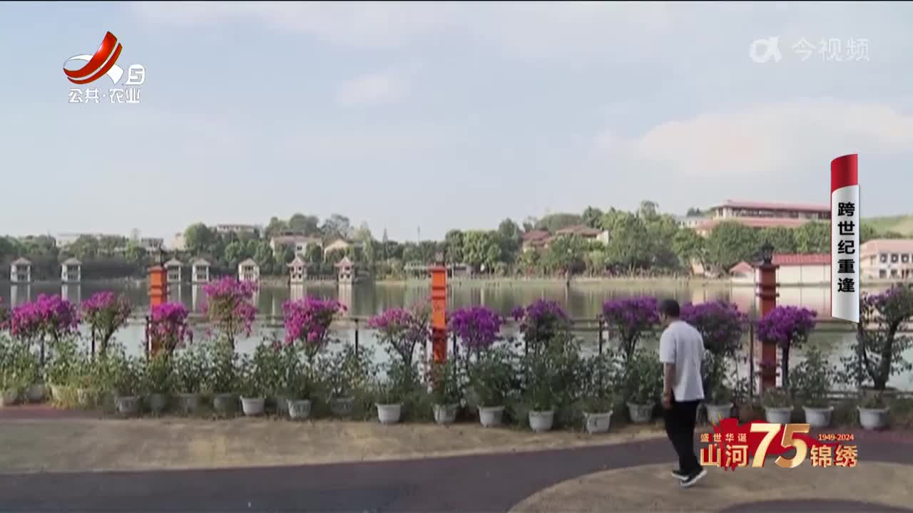 乡村栏目剧场20241003 跨世纪重逢