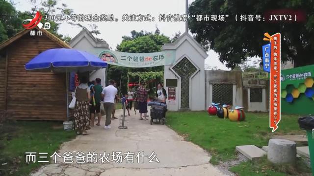 广西南宁——孩子的“快乐老家” 三个爸爸的农场里有N个