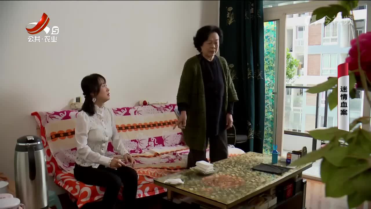 乡村栏目剧场20241011 迷情血案