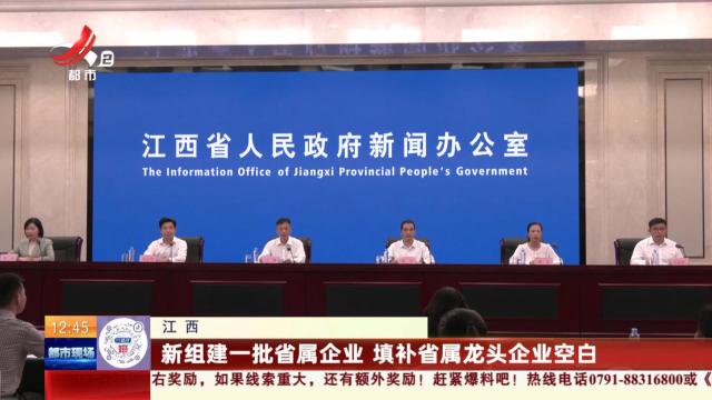 江西：新组建一批省属企业 填补省属龙头企业空白