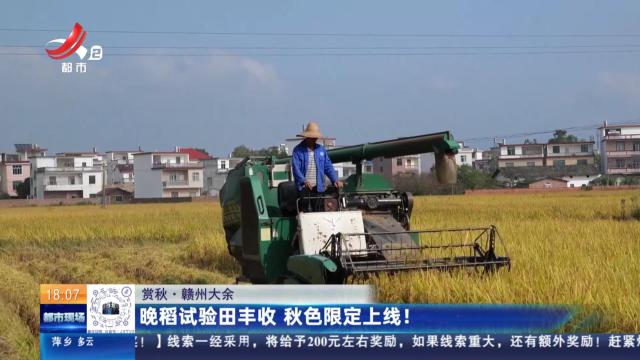 【赏秋】赣州大余：晚稻试验田丰收 秋色限定上线！