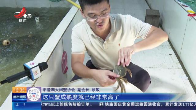 江苏苏州：秋风起 蟹脚痒 “最佳赏味期”即将到来