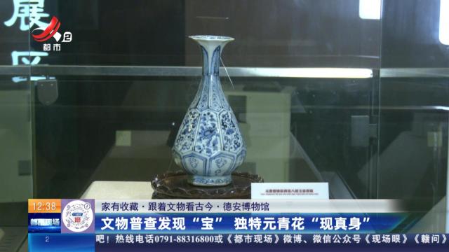【家有收藏·跟着文物看古今】德安博物馆：文物普查发现“宝” 独特元青花“现真身”