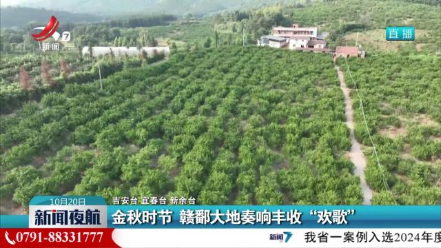 金秋时节 赣鄱大地奏响丰收“欢歌”