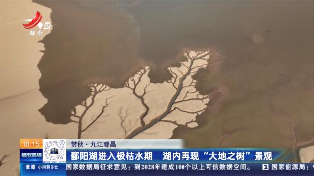 【赏秋】九江都昌：鄱阳湖进入极枯水期 湖内再现“大地之树”景观
