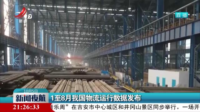新闻夜航20241005